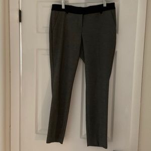 Dress pants